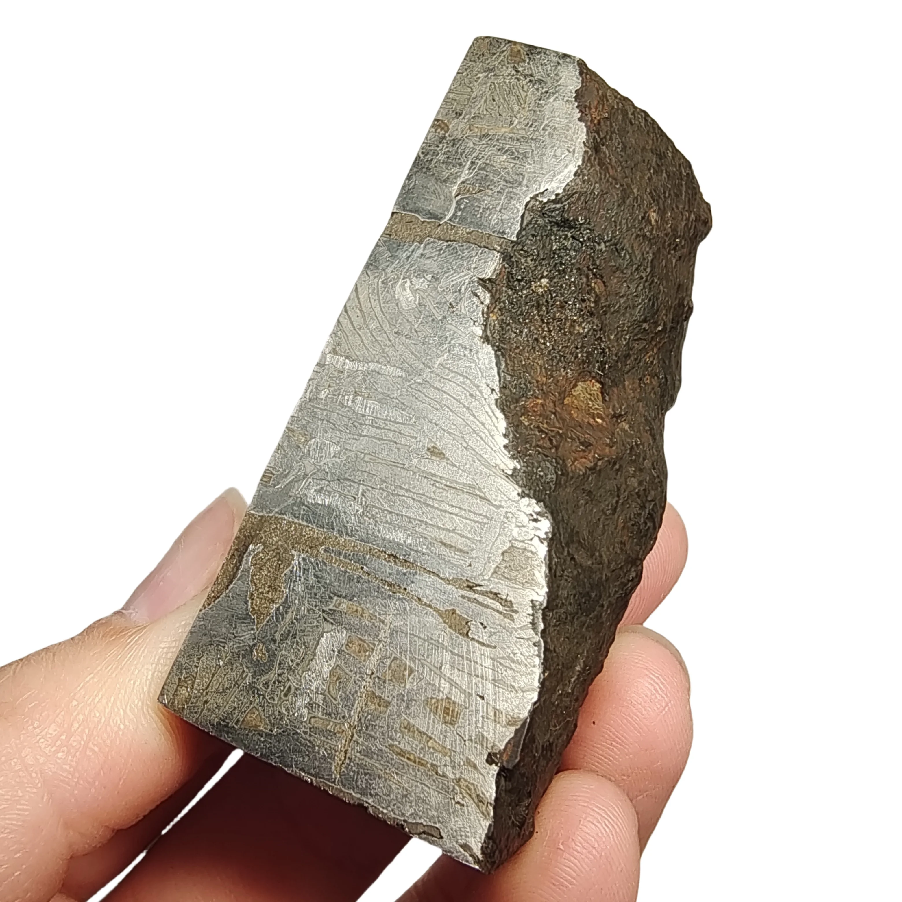 330.7g Muonionalusta Natural iron meteorite specimen section Iron meteorite materials Meteorite Specimen Collection -QC745