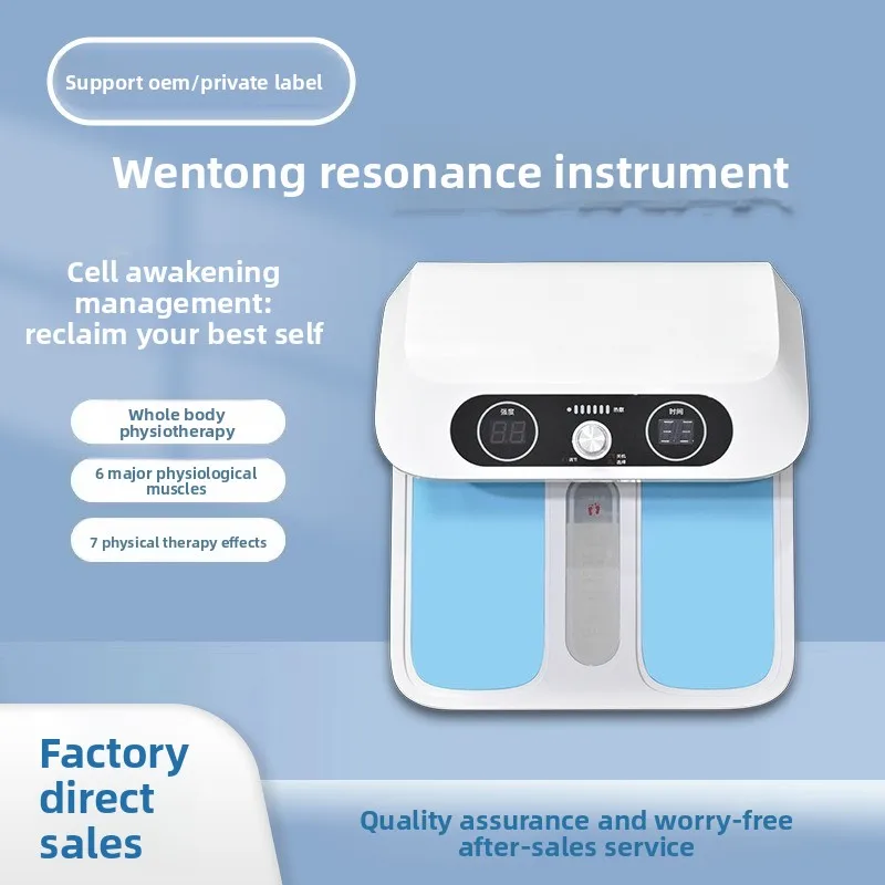Terahertz Foot Therapy Instrument P90 Energy Instrument Qi and Blood Temperature Instrument Mega Energy