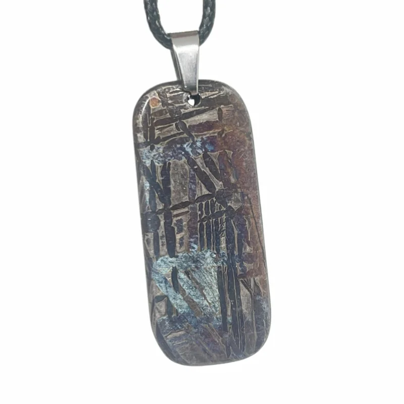 16g Muonionalusta meteorite pendant Natural iron meteorite pendant Meteorite slice Collection -LK246