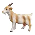 goat