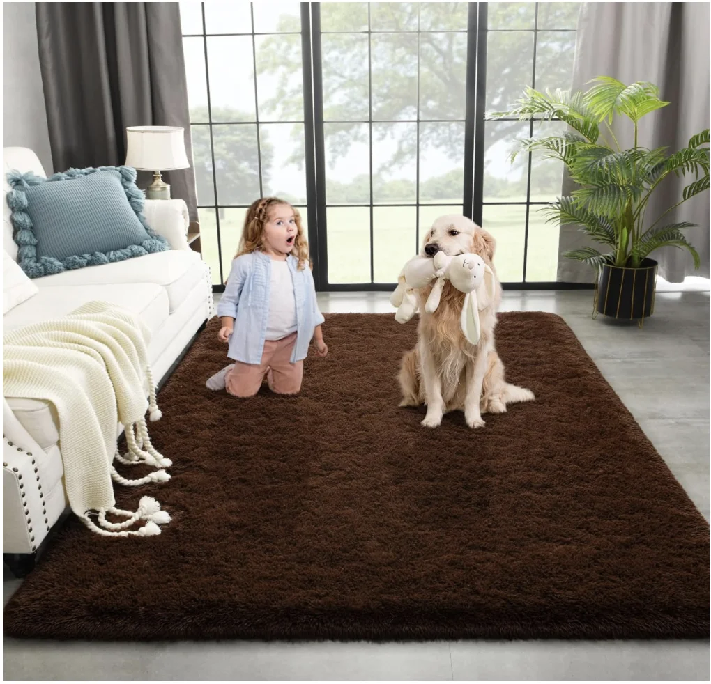 Brown Area Rug for Bedroom Living Room Carpet Home Decor, Upgraded 6x9 Cute Fluffy Rug for Apartment Dorm Room Essentials