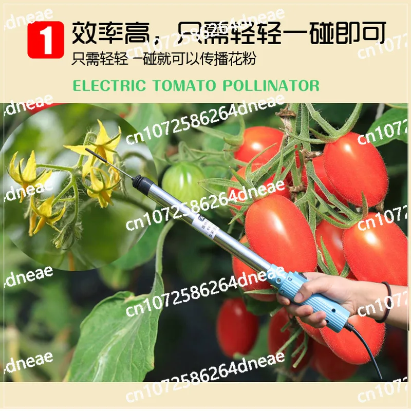 Greenhouse tomato pollinator, flower spot, tomato electric pollinator, eggplant pollinator