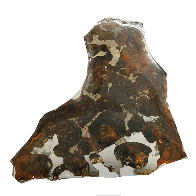 Rare Sericho Kenya Olive Meteorite Meteorite Sliced ​​Stone Iron Meteorite Specimen Collection