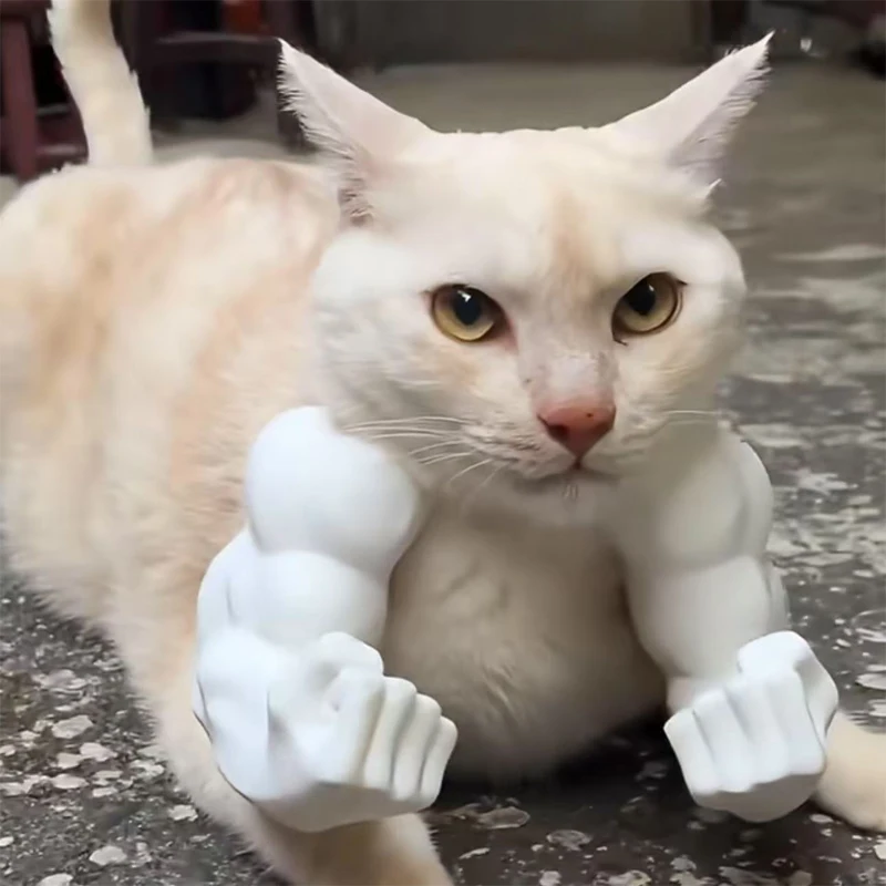 Engraçado gato braço muscular 3d impresso invencível hulk braço animal de estimação interativo pescoço pendurado brinquedo cosplay traje adereços acessórios do cão