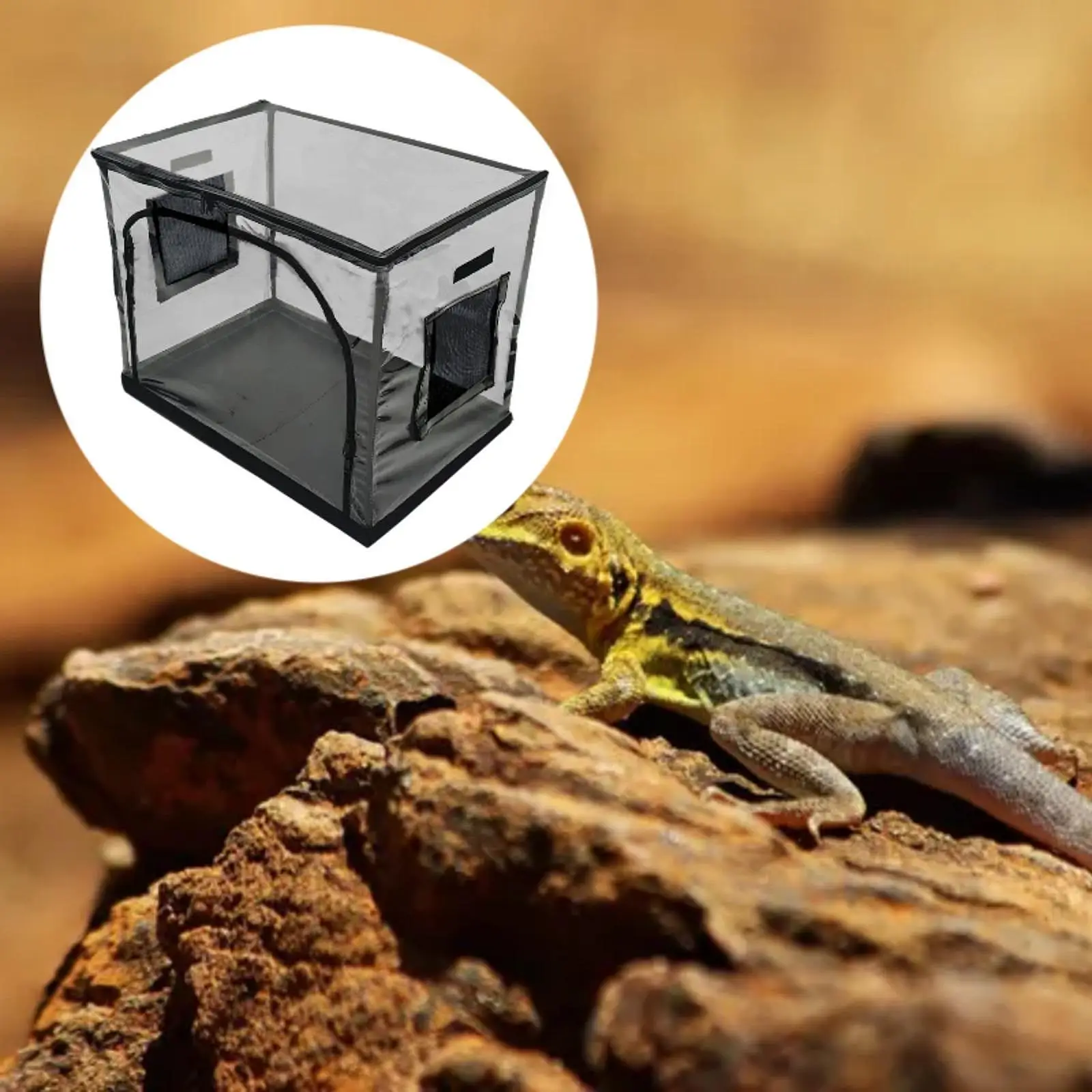 

Reptile Feeding Box Easy Cleaning Habitat Cage for Outdoor Greenhouse Lizard
