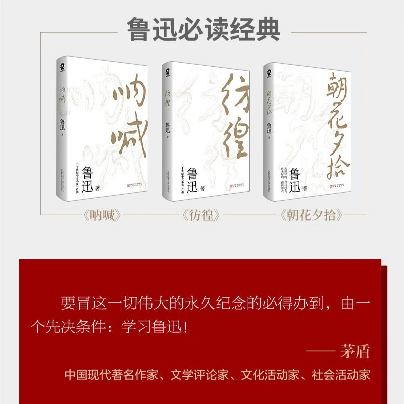 Errante, Lu Xun, Explorando Esperança Despite A Confusão da Realidade, Um Trabalho Clássico de Romances de Literatura Chinesa Moderna