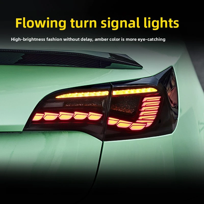 ضوء خلفي للسيارة لتيسلا موديل 3 تجميع الضوء الخلفي موديل Y معدل بمقياس التنين ضوء تشغيل LED إشارة انعطاف متدفقة مصباح خلفي