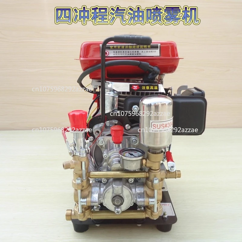 

Sprayer Agricultural 154 Small high pressure motor Light motor