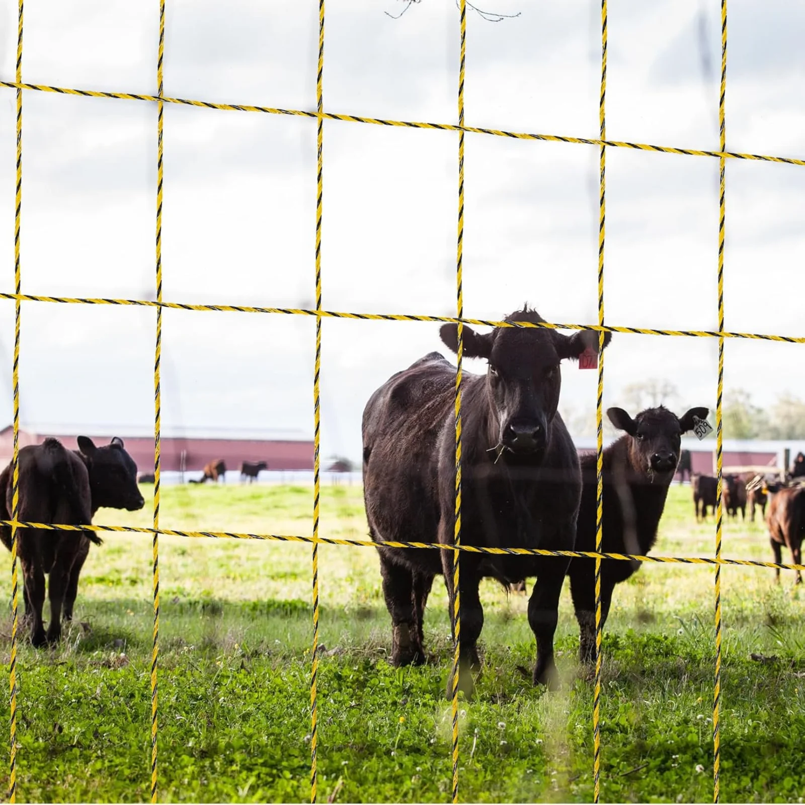 400 Meters Electric Fence Rope Polywire 9 Stainless Steel Strands for Reliable Conductivity and Rust Resistance, Easy to Install