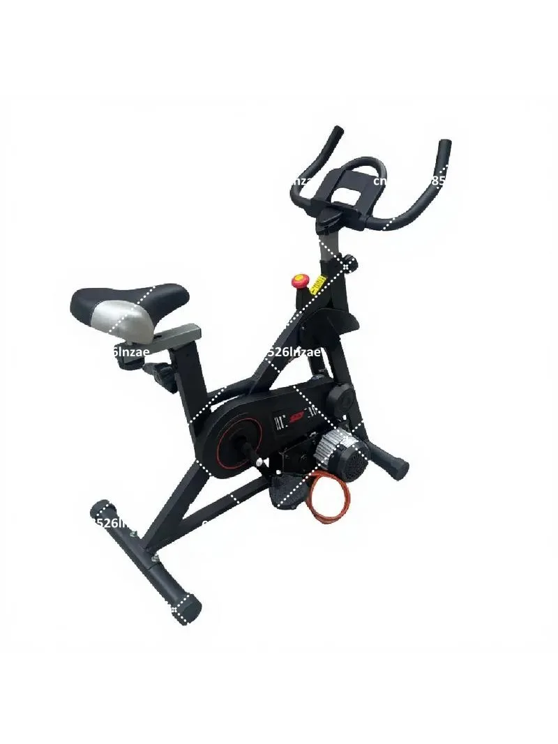 220V 2000W Exercise Bike Pedal Generator, 12V 48V 60V 72V Permanent Magnet AC Charging