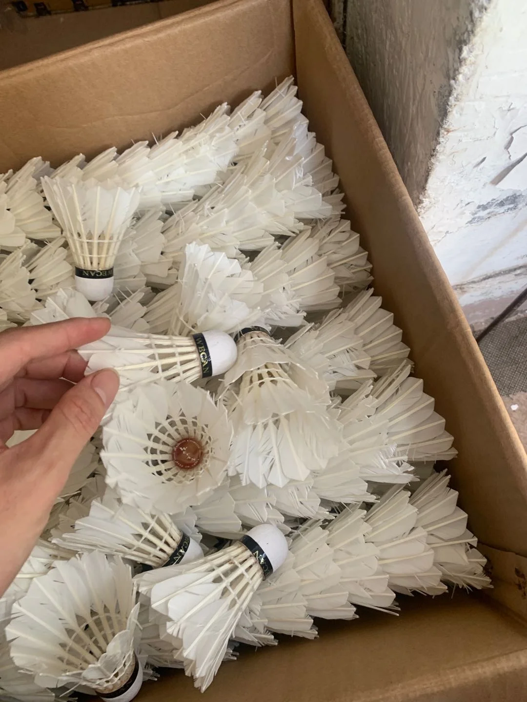 badminton-training-balls-durable-multiple-balls-for-teaching-pre-game-practice-box-set-composite-wood-duck-feather-balls