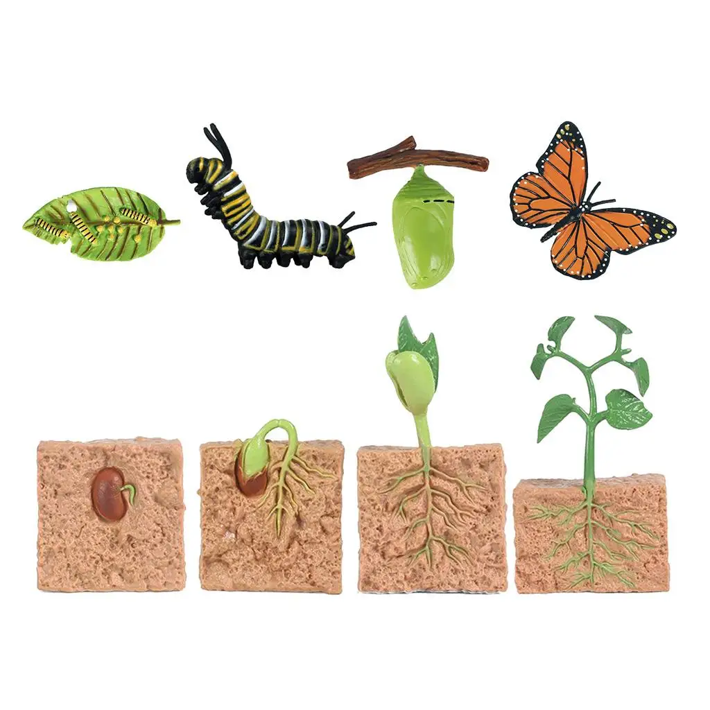 Nature Insects & Plants Growth Figure Kids Pre-school Learning Biology Toys