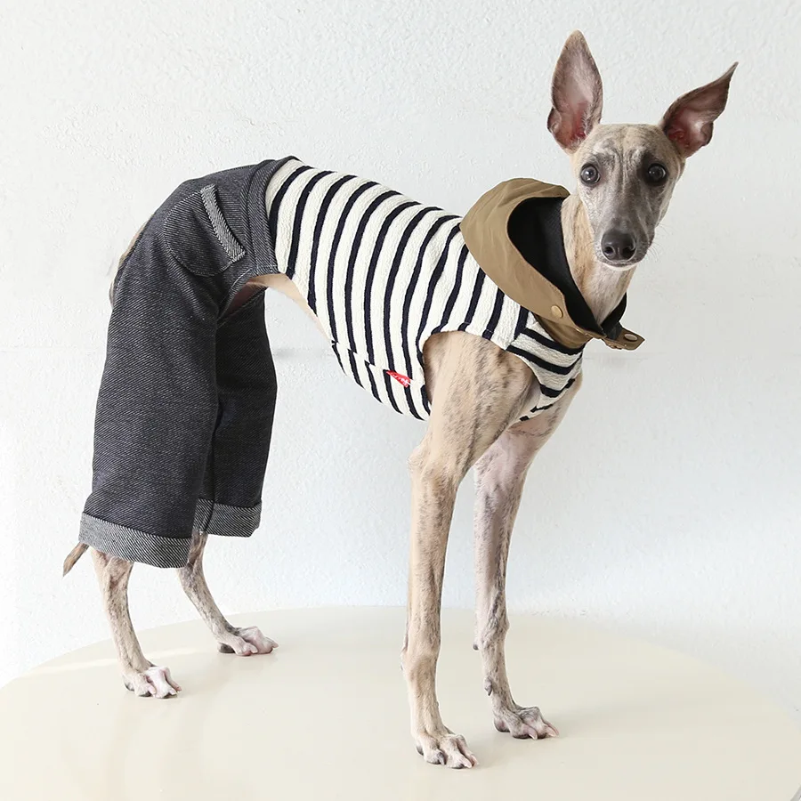 

Italian Greyhound Warm Full Cover 4 Legged Thing Dog Clothes Indoor Fleece Pajamas Sweatshirts Whibbit Bodysuit Hoodies