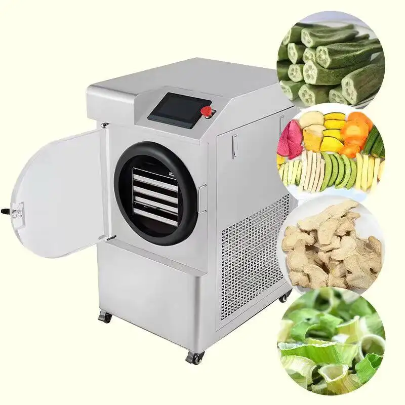 Commercial Vacuum Freeze Dryer For Pet Food Fruits Vegetables Home Lyophilization Machine
