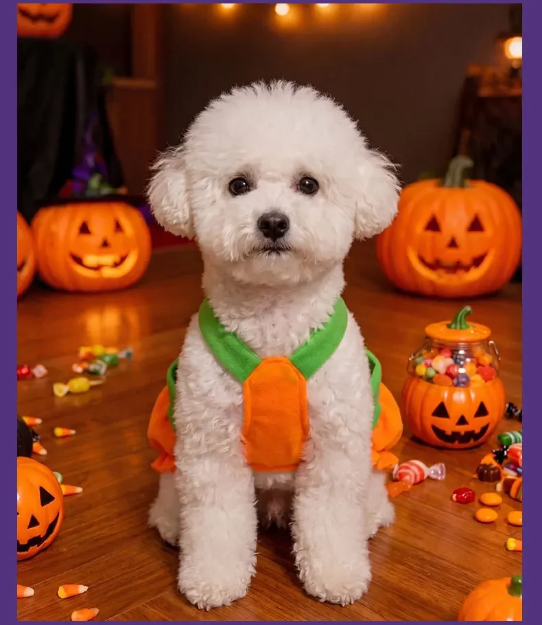 Verstellbares, waschbares Halloween-Kürbis-Overall-Kostüm für kleine Hunde und Katzen, lustiges & gruseliges Trick-or-Treat-Outfit – Detail 8