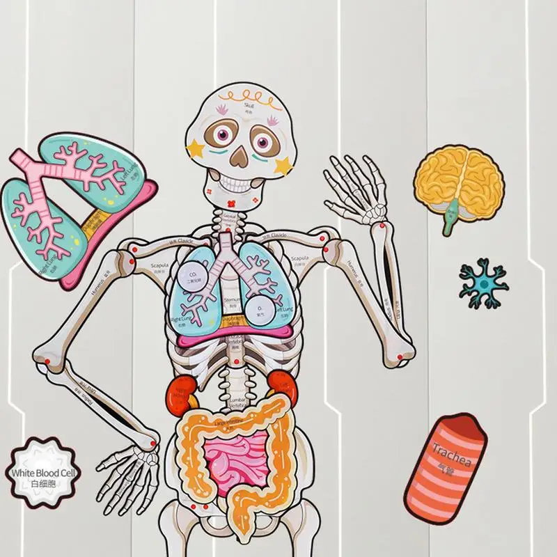 Rompecabezas de piso de anatomía humana para niños, rompecabezas de cuerpo humano, aprendizaje educativo, juguetes preescolares, juego de anatomía