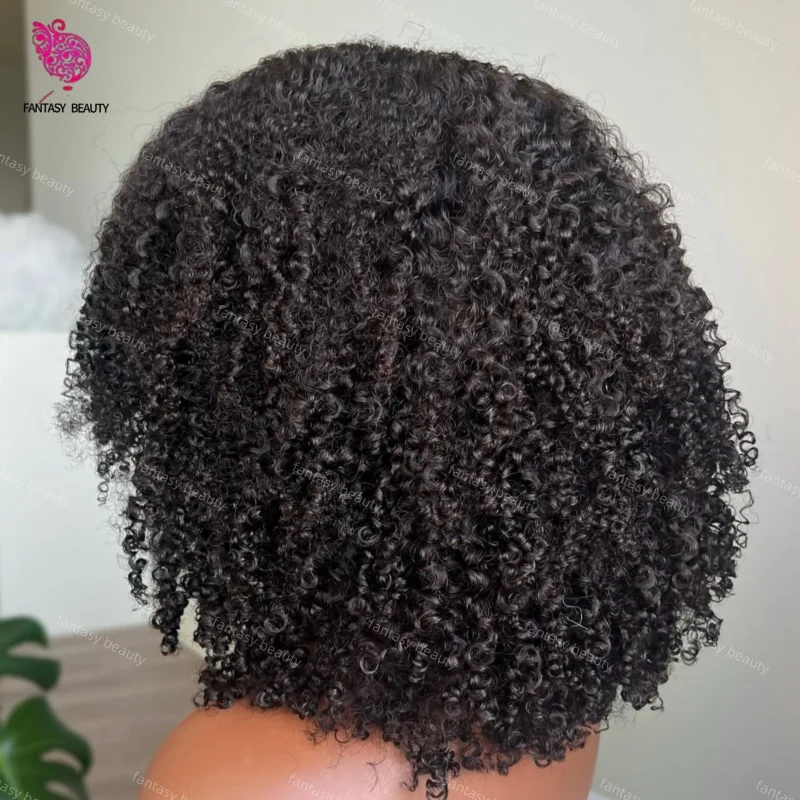 Natural Human Black Hair Glueless Wigs For Black Women Afro Kinky Curly 1x4 Middle V Part Open Wig 250%Density Machine Made Wig