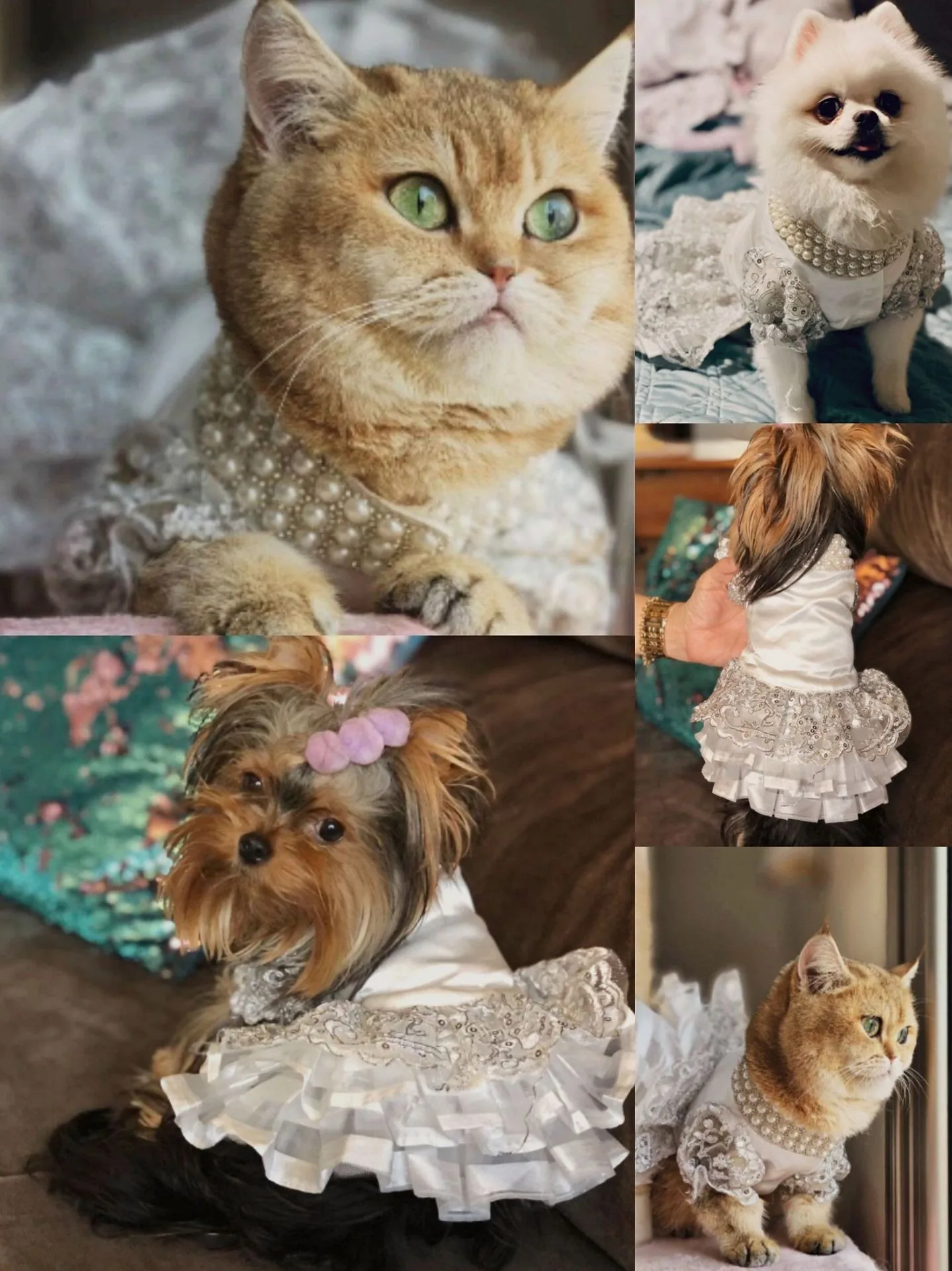 Luxury Princess Pet Wedding Dress, Dog Clothes, Cat Dress, Puppy Skirt, Pet Tutu Skirt, Bride Costume Supplies, XS to XL