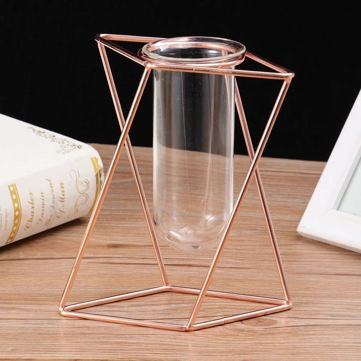 

1pc Iron Art Glass Tube Vase Rose Gold Short Metal Frame For Home Decor Flower Arrangement Creative Flower Planter Iron