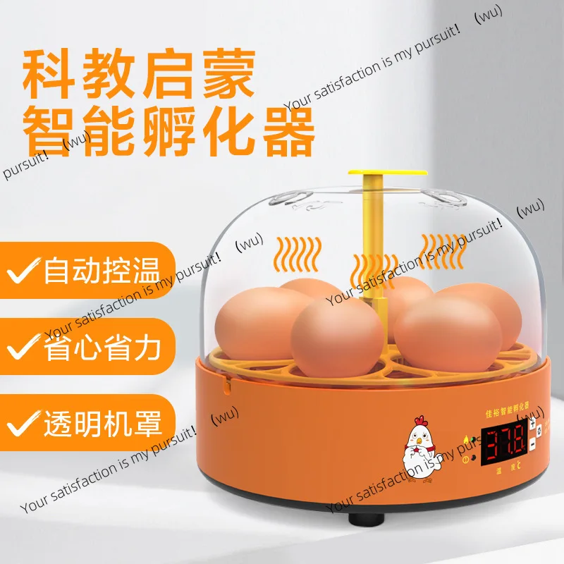 Experimental Egg Incubator Chicken Incubator Small Household Automatic Egg  Intelligent