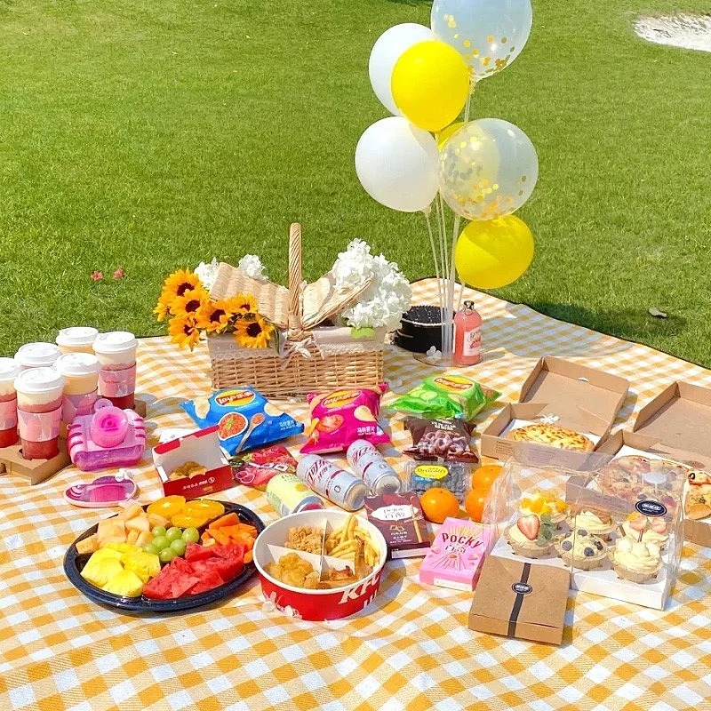 Zusammen klappbare nicht gewebte Picknick matte wasserdicht und feuchtigkeit beständig Outdoor Matte Camping tragbare Picknick Stoff Strand matte Feder