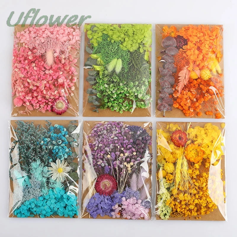 yZ[zAWTCԐA 1 hCt[ vU[uht[ DIY G|LVLh ԍ Ntgpi