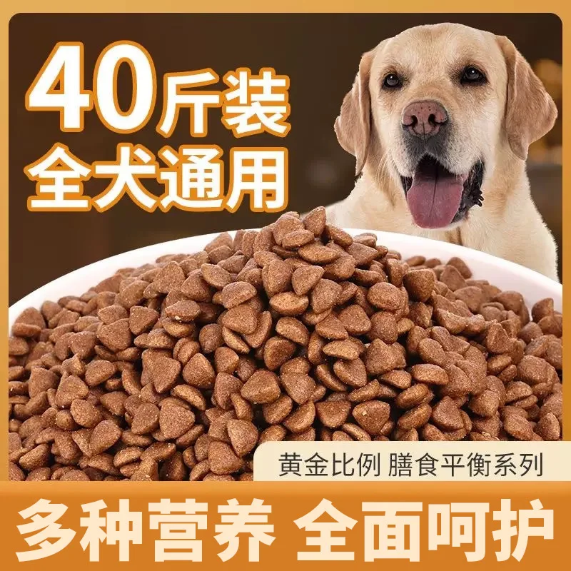 Dog Food 20.00kg Universal Teddy Golden Retriever Samoyed Husky 5.00kg Large Dog Small Adult Puppy 10.00kg