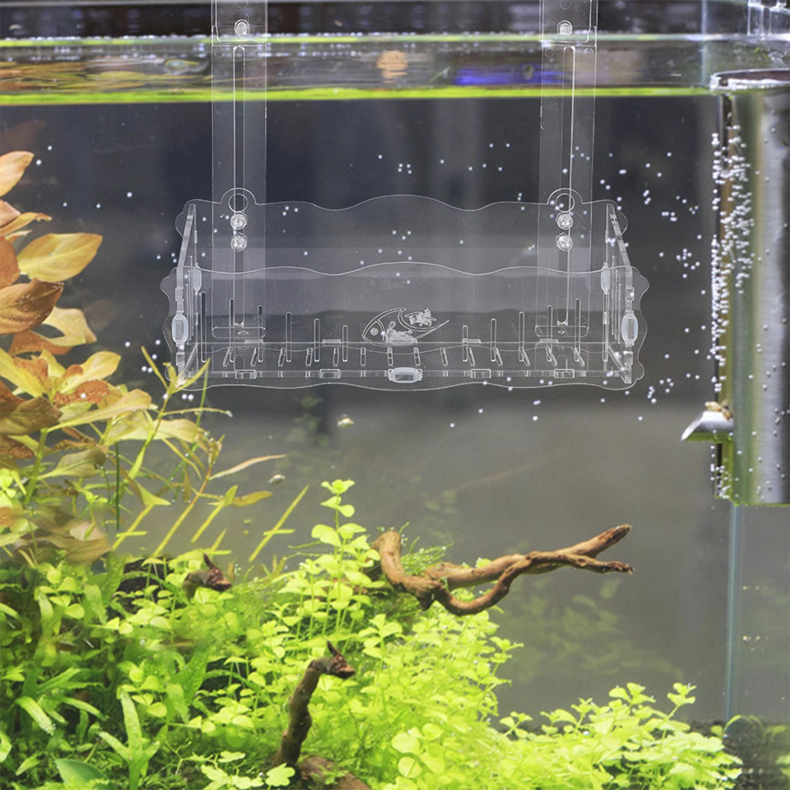 

Aquarium Plant Holder Clear Acrylic Fish Tank Planter Suction Cup Swivel Hook Water Plant Cup Aquatic Plants Storage Decorative