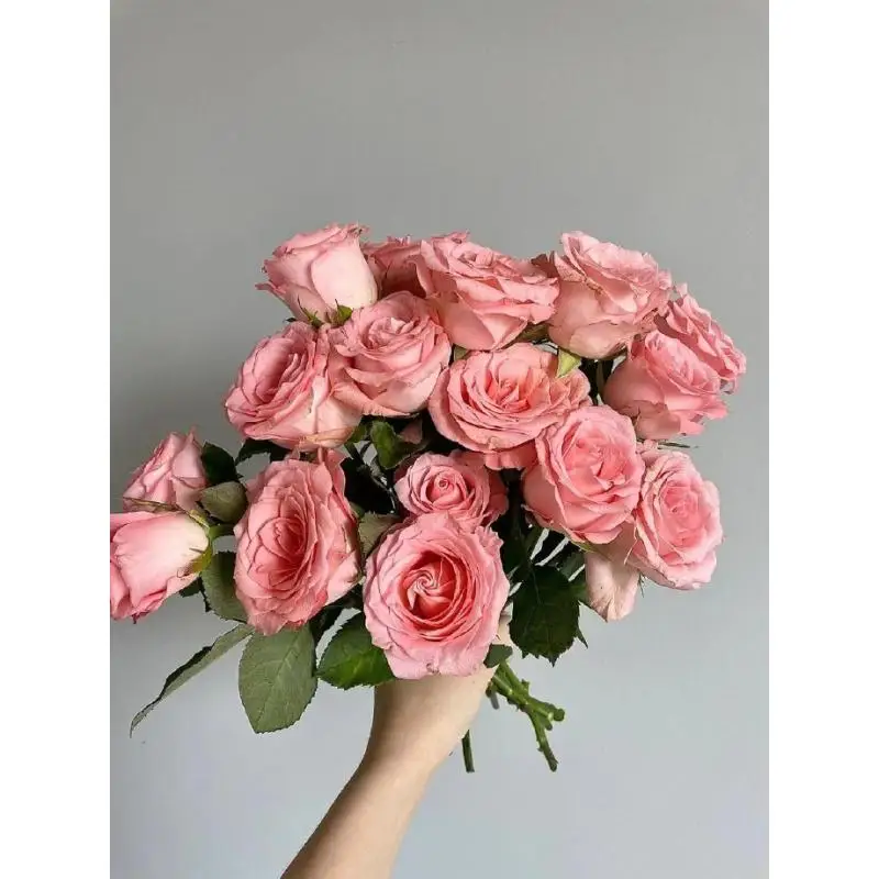 

AX900 Driver-Free Wireless Network Card Dual-Band WiFi 6 USB Adapter 900Mbps Wifi Receiver 2.4G&5GHz for Laptop Windows 7 10 11