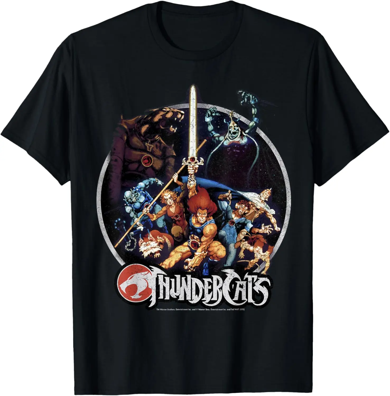 ThunderCats Group Shot Vintage Circle T-Shirt