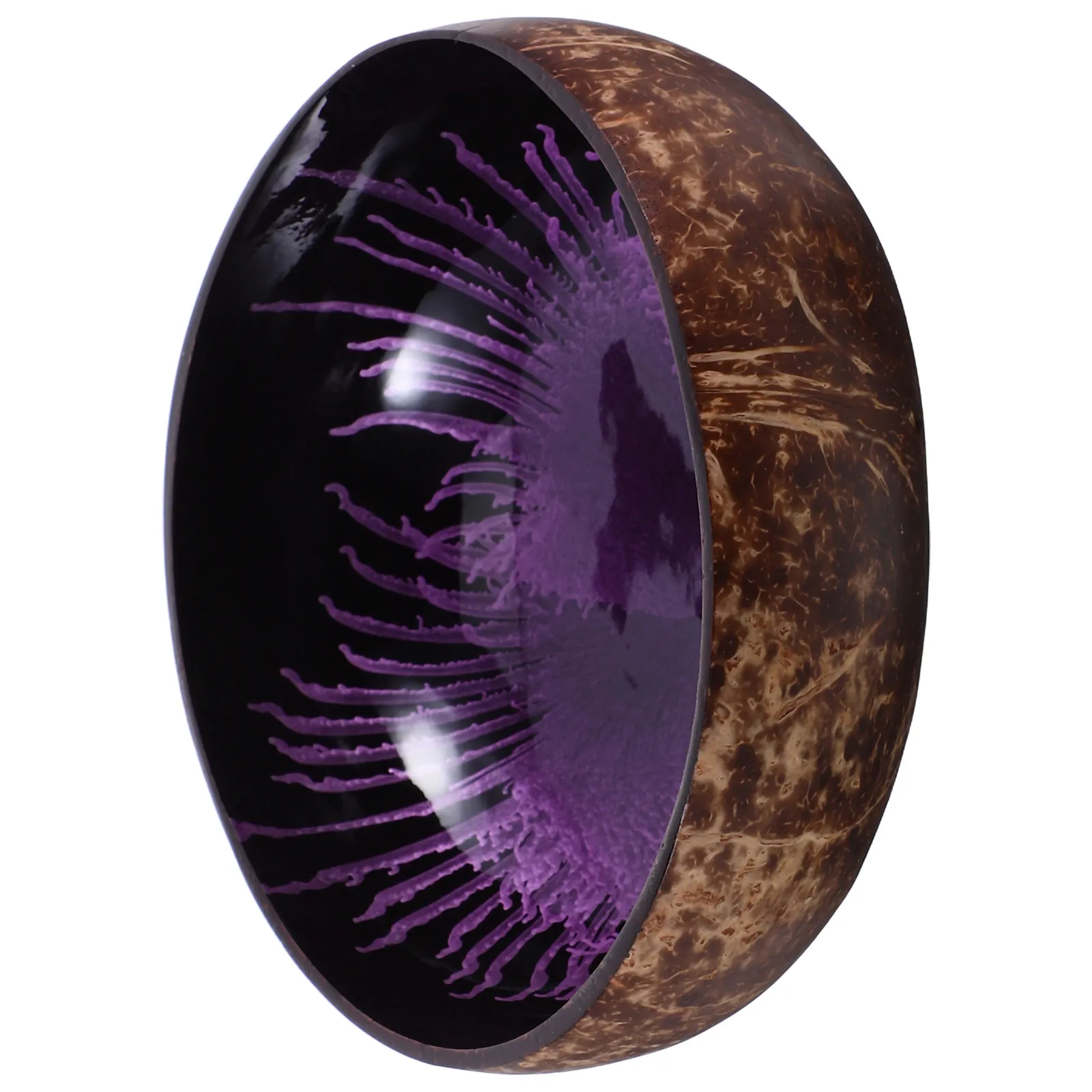 Natural Coconut Shell Bowl Compact Candy Holder Dessert Bowl Jewelry Dish Trinket Tray Entryway Key Storage Container Salad