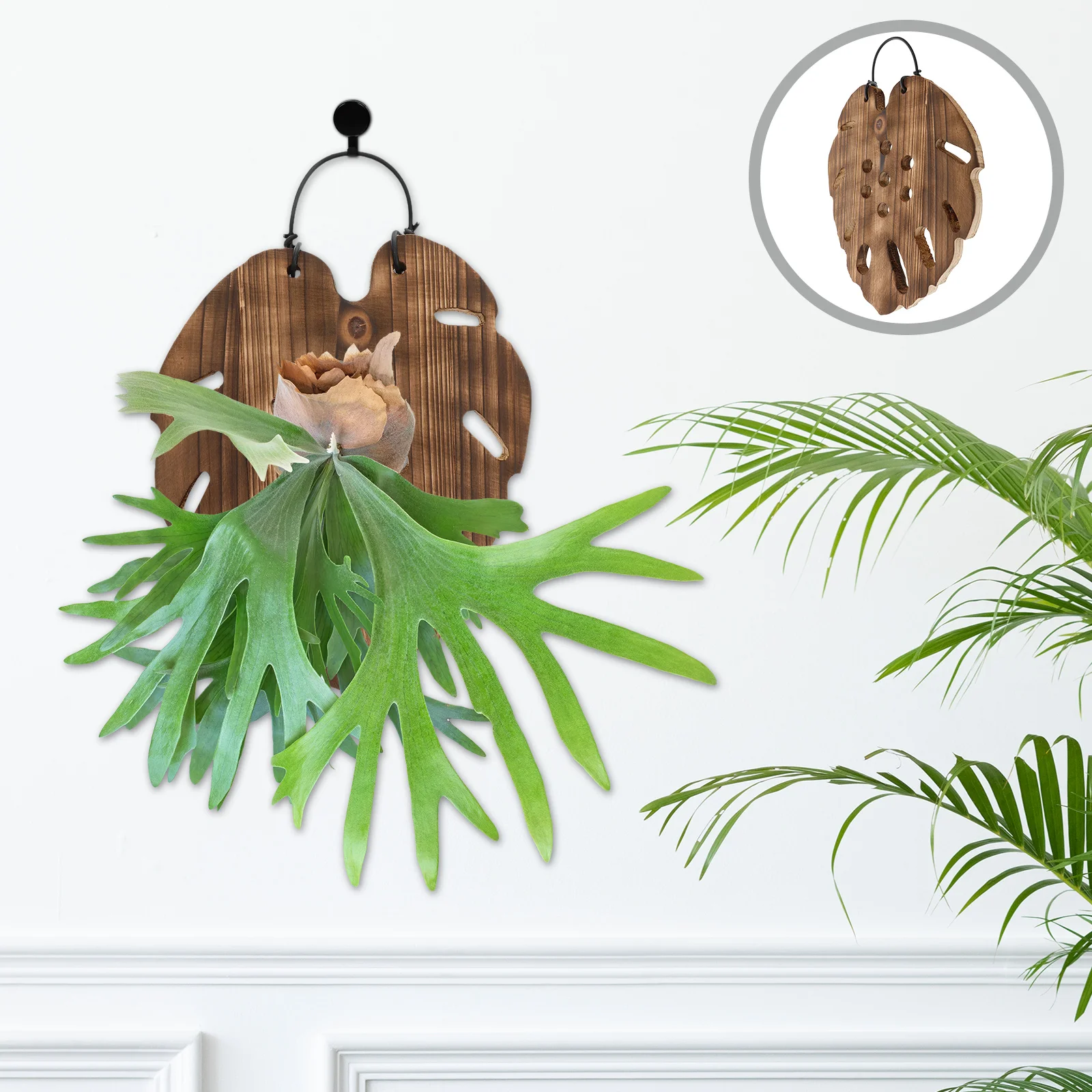 

Staghorn Fern Hanging Board Planting Garden Wall Planter Household Decor Monstera Art Chinese Fir Mounting