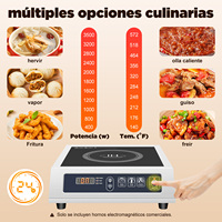 Induction Stove 3500W with Waterproof Button 11 Levels Adjustable Electric Stove Timer Digital LED Display Screen Kitchen Tool