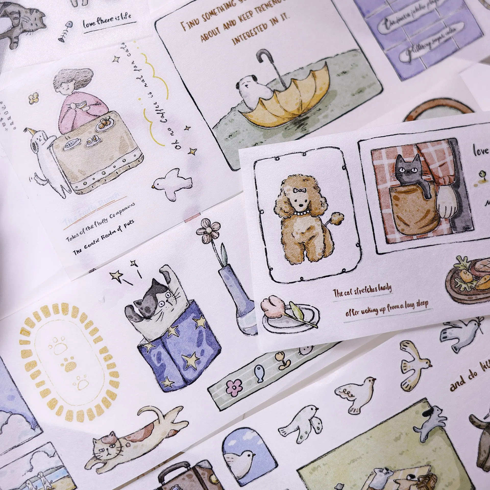 Pre‑Die‑Cut PET Washi Tape Xiaobaijia New Friends Diary Light Retro Salt‑Style Cat Dog Decor Sticker