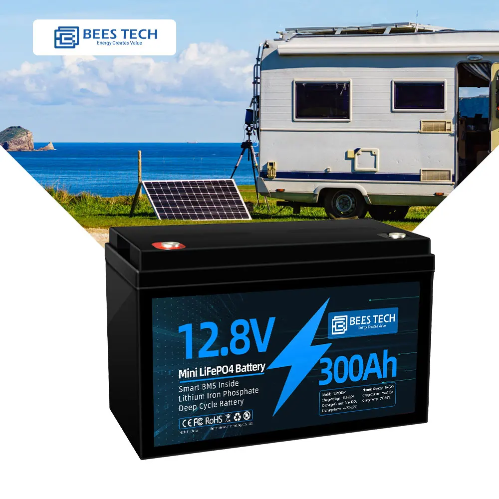 

12V 300Ah 100AH 200AH 24V lithium ion rechargeable battery pack BT power supply for boat solar Panels