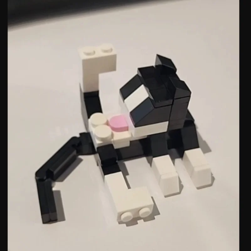 62 قطعة لعبة مكعبات بناء القط 4 ألوان لطيف سلسلة الطوب لتقوم بها بنفسك اللبنات الاطفال الدماغ تعزيز اللعب هدايا عيد ميلاد للأطفال