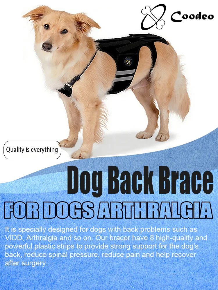 Coodeo Rückenstütze für Hunde mit Arthritis, Rückenbandage für Haustiere bei IVDD, Rückenprotektor zur Schmerzlinderung, Genesung nach Operationen und Rehabilitation. – Detail 1