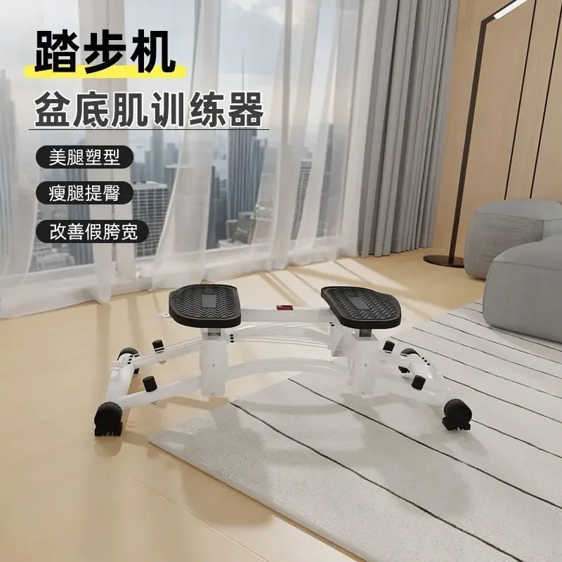 Wind-resist Ski Machine Professional Silent Indoor Home Fitness Equipment Simulated Ski Machine Rowing Tension Equipment