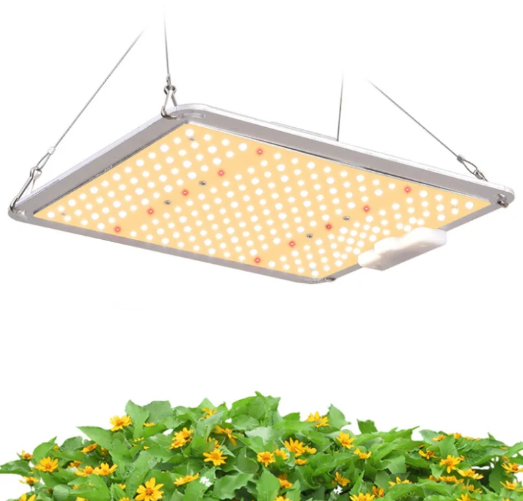 

Full spectrum horticultural lighting LED Grow light 100W 220W 450W 600W IP65 5 years warranty CE RoHS Listed