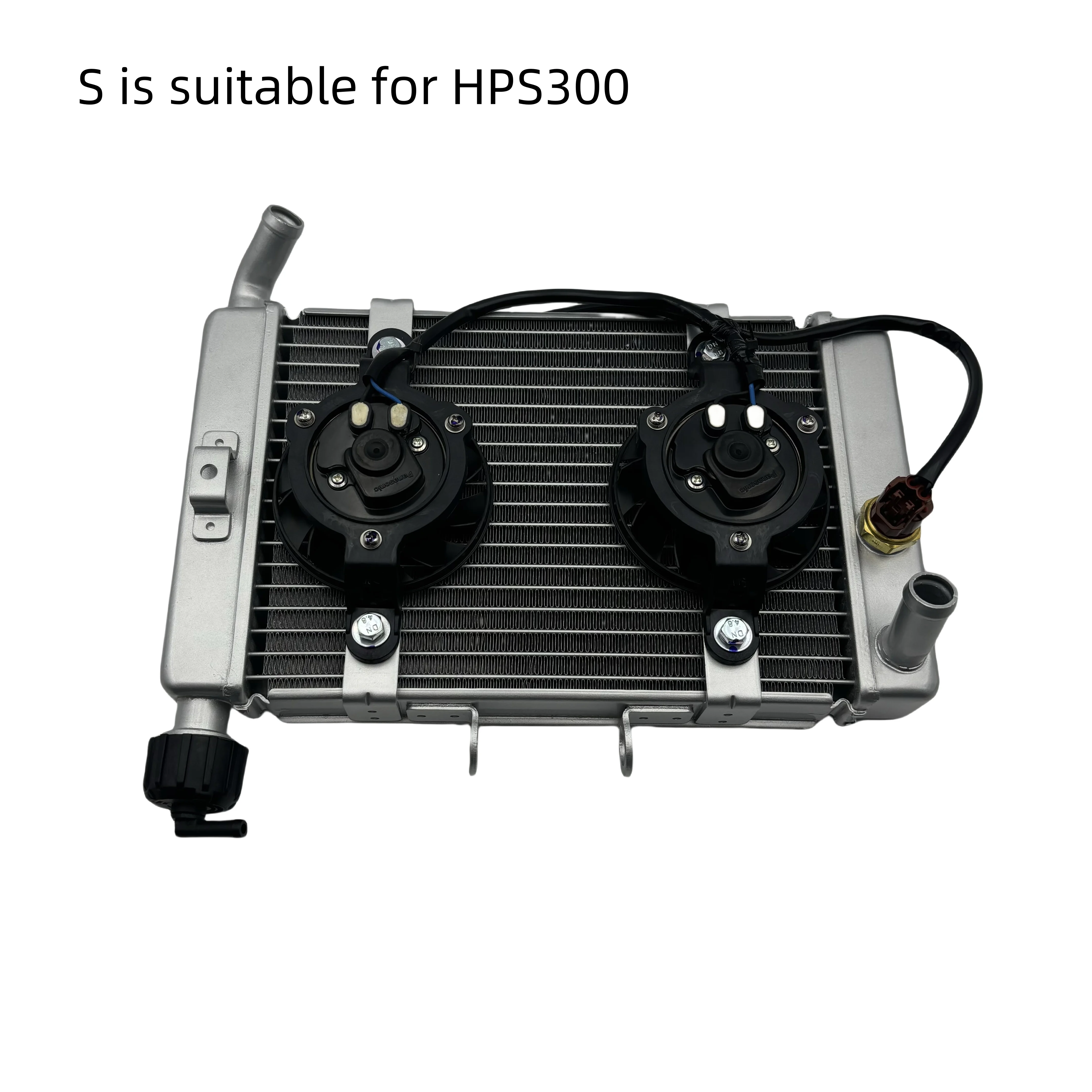 Suitable for Fb Mondial Hps 300 Motorcycle Accessories Water Tank Assembly Radiator Cooling