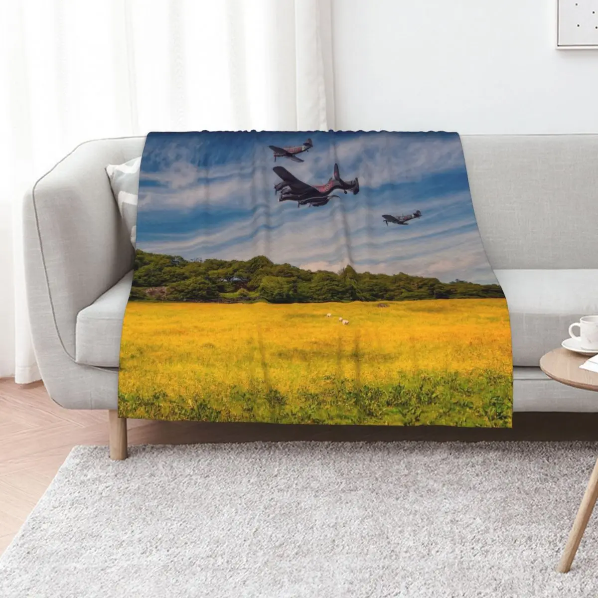 Battle of Britain Memorial Flight Throw Blanket Furrys blankets and throws blankets ands Cute Plaid Moving Heavy Blankets