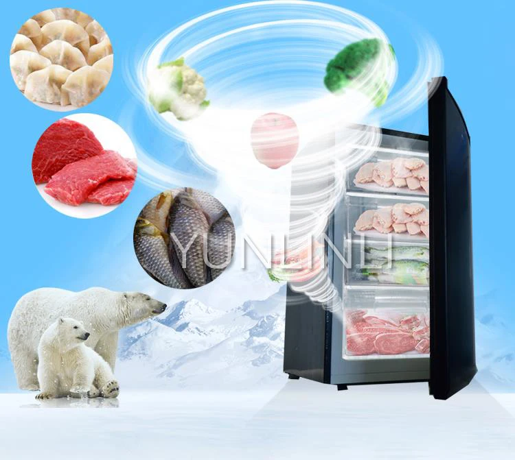 Household/Commercial Refrigerator Freezer Vertical-type Mini Freezer Low Noise Low Energy Consumption Fridge