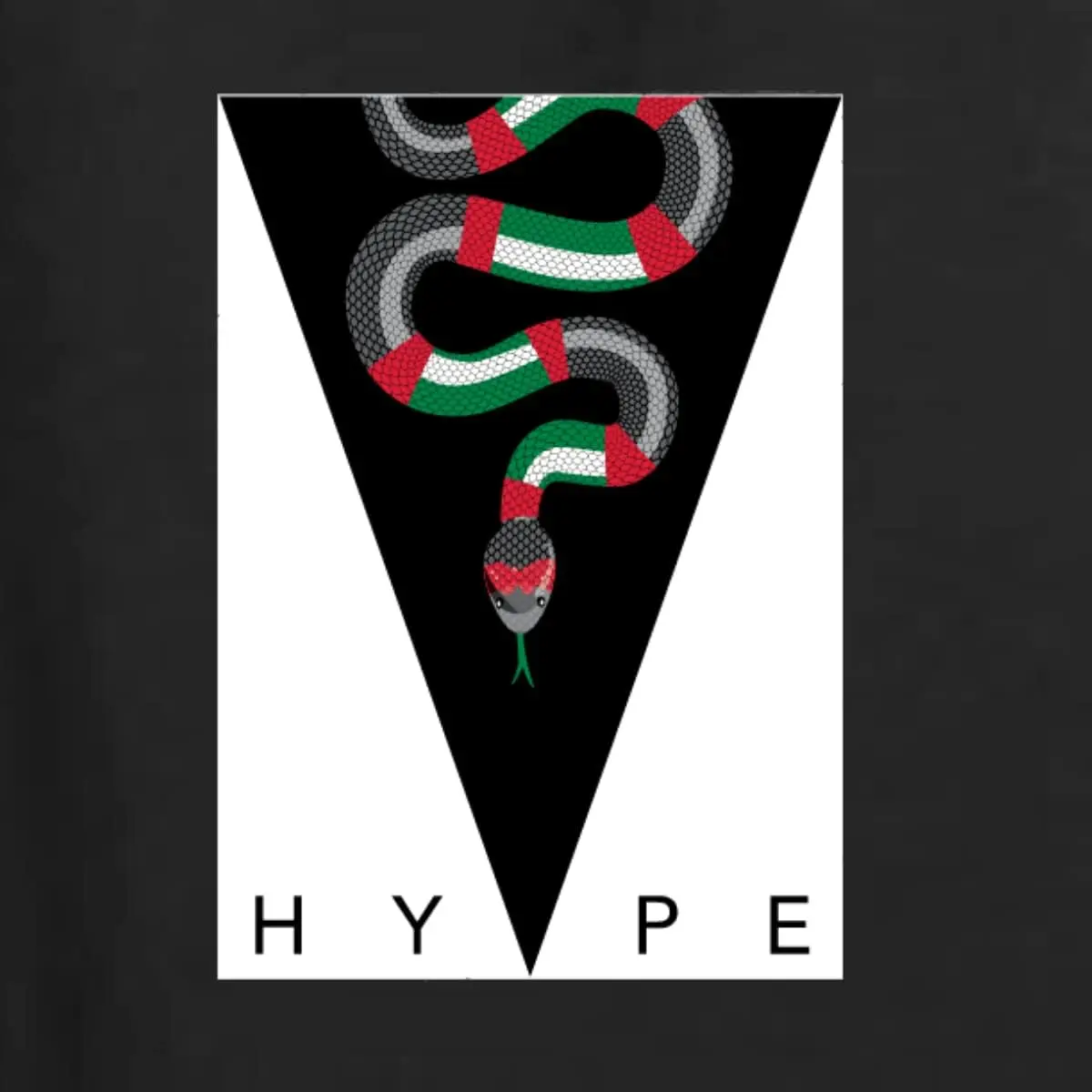 Hype Colorful White Box Snake Streetwear Men's Graphic T-Shirt