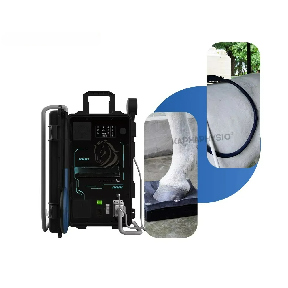 Veterinary Equine PEMF Healing Equipment Professional Magnetic Therapy Device with Laser Therapy for Tissue Recovery