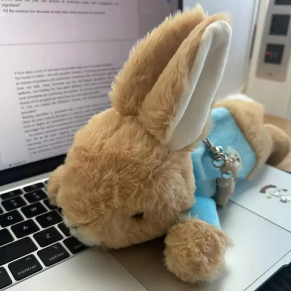 

College Style Plush Pencil Bag Cute Rabbit Bunny Cartoon Pencil Bag Large Capacity Soft Fluffy Pencil Bag Stationery