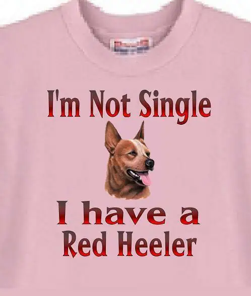 

Dog T Shirt Men Women --- I'm Not Single I Have a Red Heeler