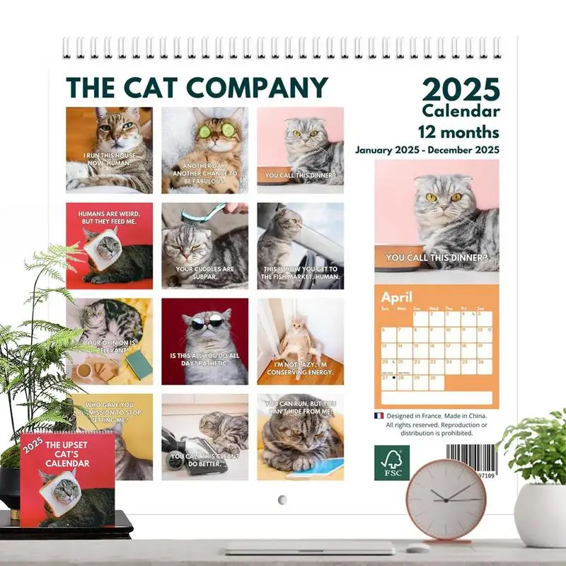 Upset Cats Calendar 2025 Unhappy Cat Calendar 12 Months Decoration Tool With Beautiful Illustrations For Bedroom Apartment