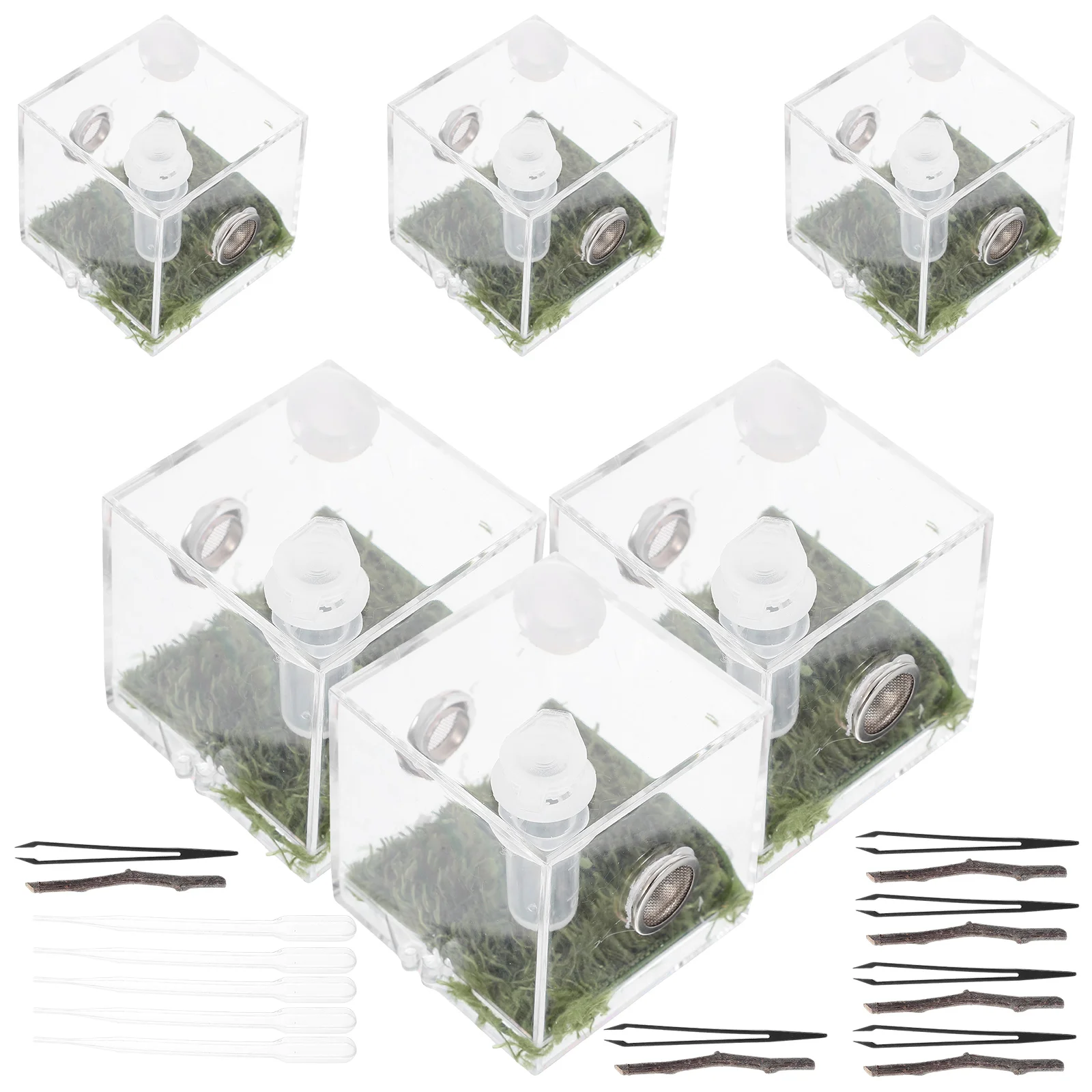 2 Sets Jumping Spider Breeding Box Container Enclosure Pet Terrarium Acrylic Snail Baby