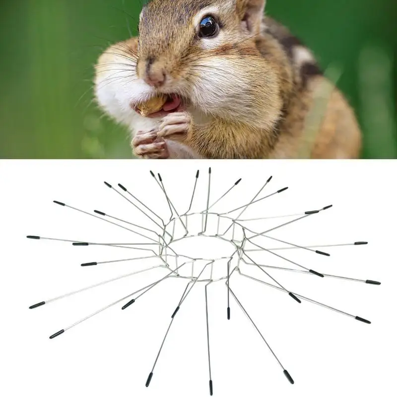 25 pezzi di protezione per arrampicata da giardino, punte difensive, dispositivi in acciaio inossidabile 304 per la prevenzione di pali elettrici, scoiattoli, gatti