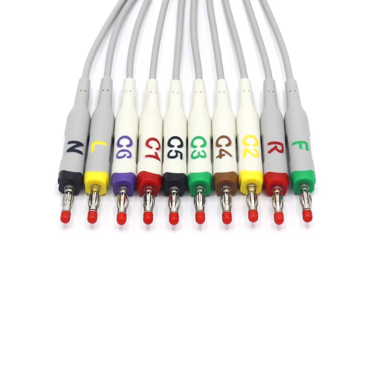 Fixed One-piece EKG Cable, 10 Leads, IEC, Banana